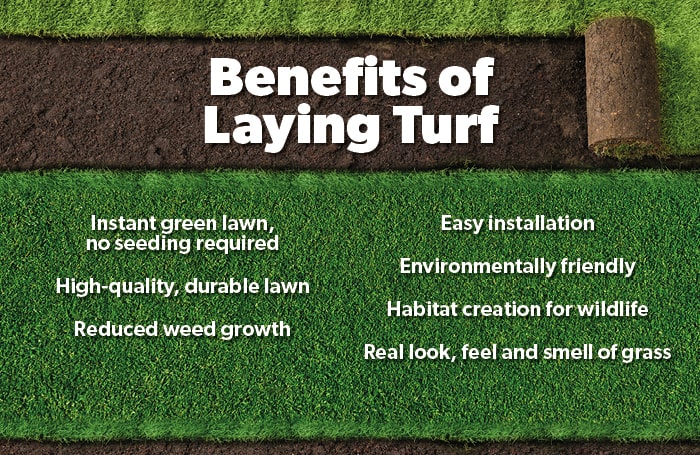 Benefits of Laying Turf infographic