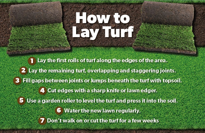 How to lay turf infographic