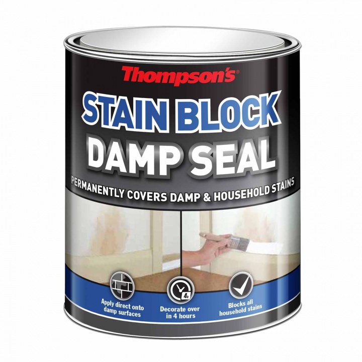 Thompsons Damp Seal 250ml | Selco