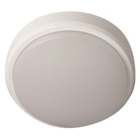 Robus Ohio IP54 LED Round Bulkhead 4000k With White And Black Trim