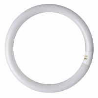 32W T9 Circular Tube