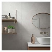 Cement Porcelain Floor & Wall Tile 300 x 600mm