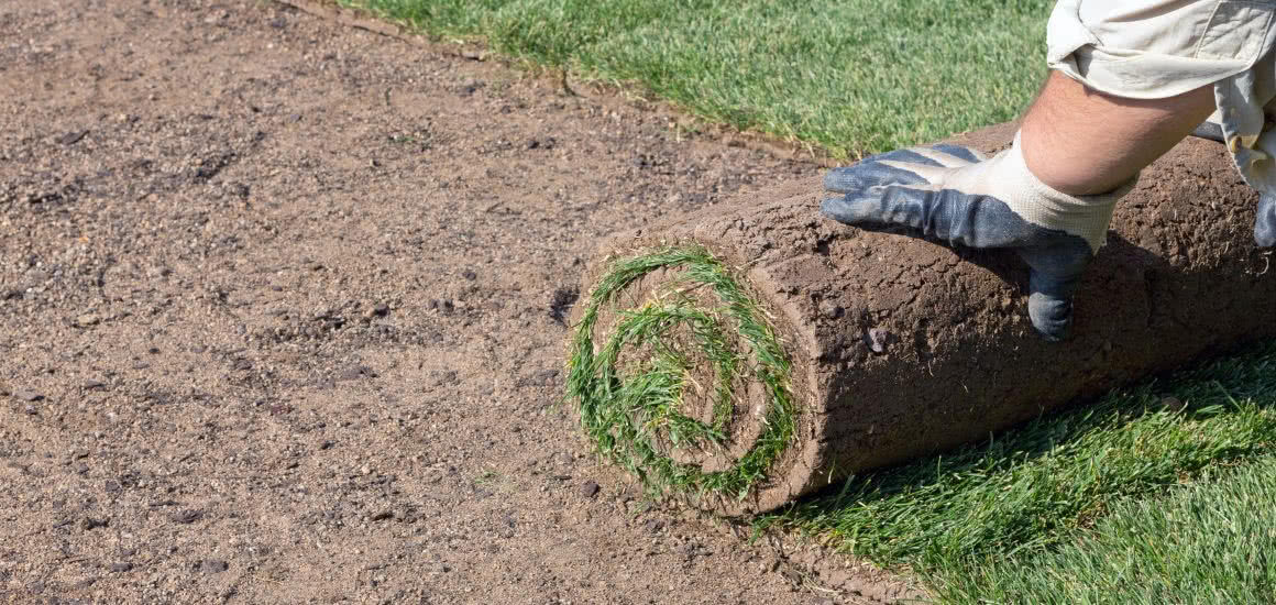 Image for Lawn Installation Guide