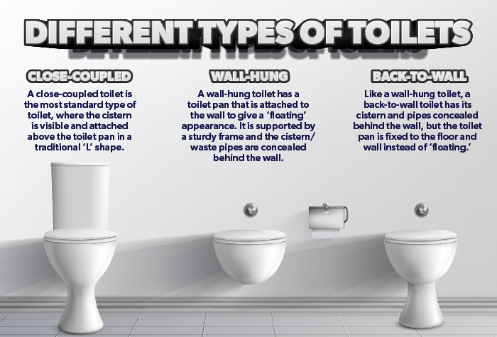 Different types of toilet infographic