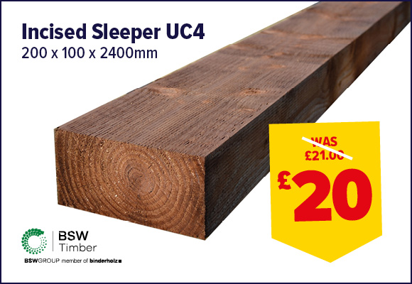 Incised Brown Sleeper