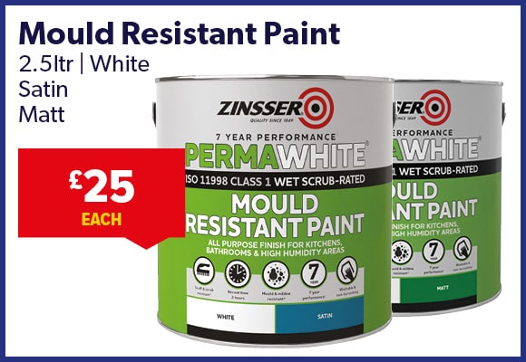 Zinsser Paint